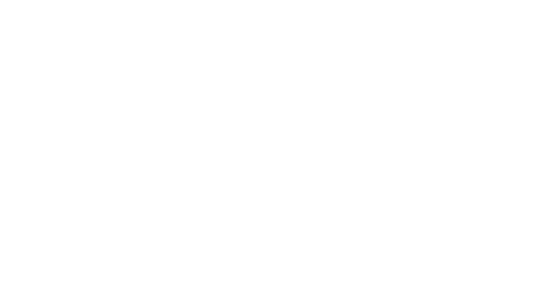 Piratechs